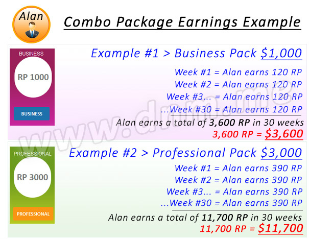 Pingawork Pinga Teambuild Combo Package Earnings Example