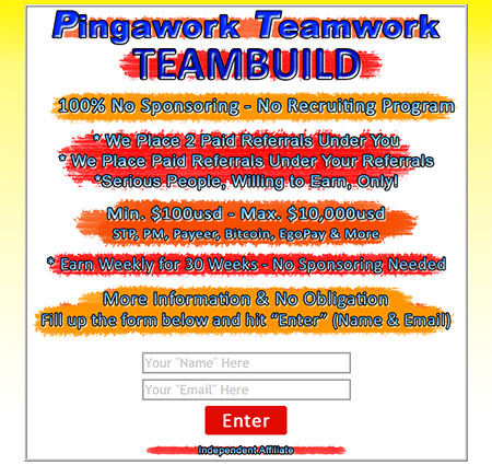 Pinga Work Pingawork Lead Capture Page Banner Marketing Promo System Teambuild