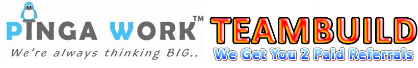 Pingawork Teambuild Logo